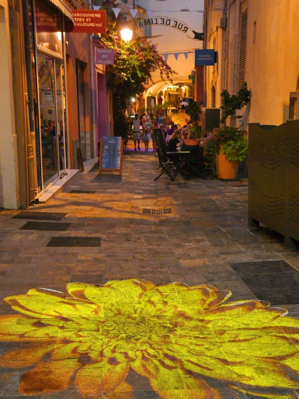Le Palmae, Serenite Et Charme En Coeur De Ville 耶尔 外观 照片
