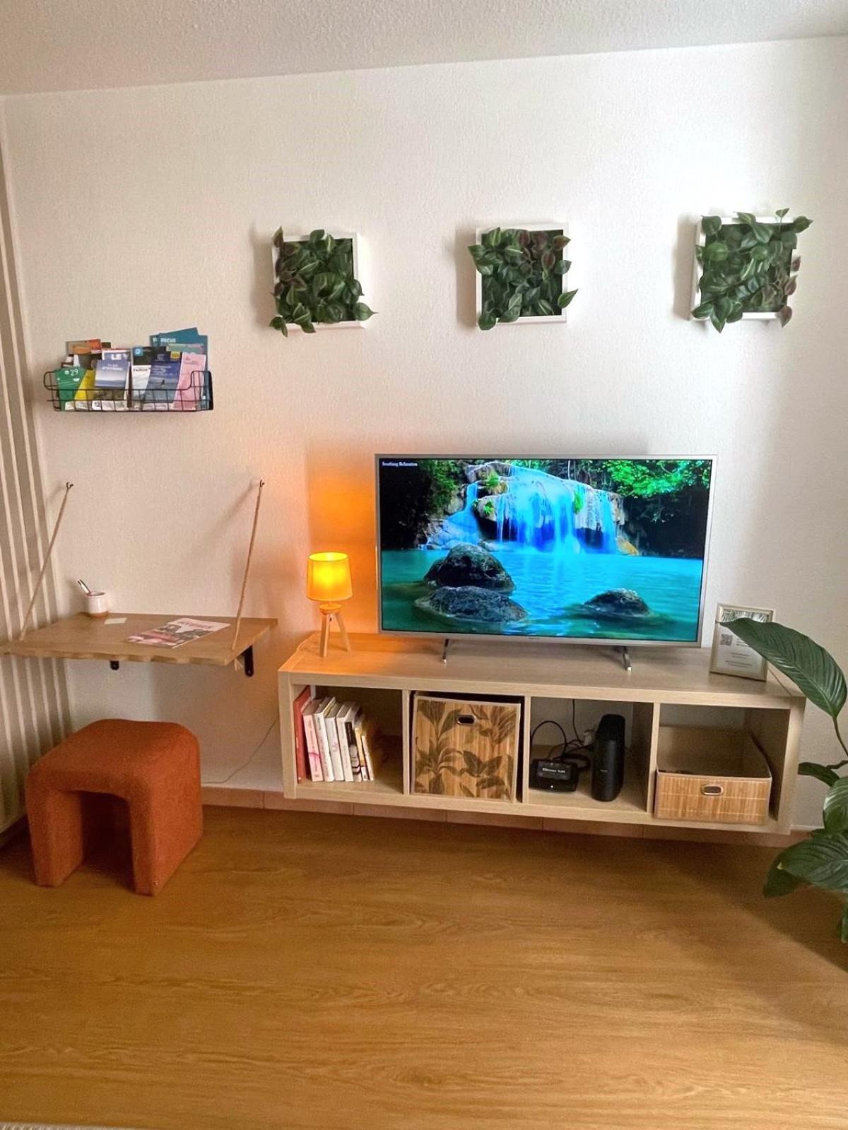 Le Palmae, Serenite Et Charme En Coeur De Ville 耶尔 外观 照片